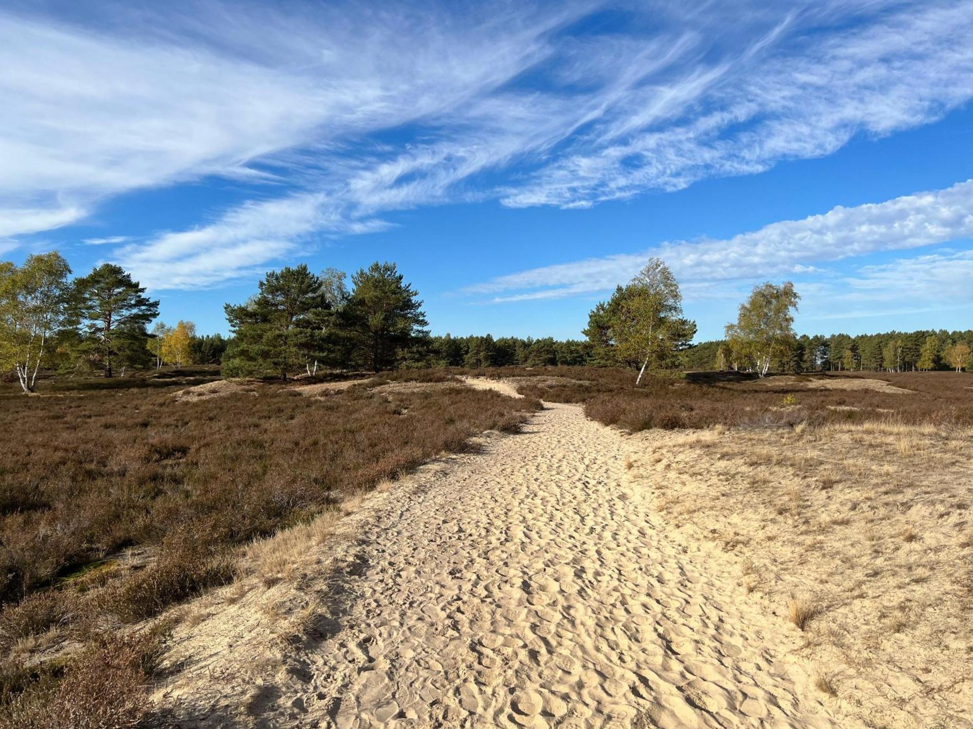 Luxe Vakantiehuis Vosje Op De Veluwe Nunspeet Exterior photo